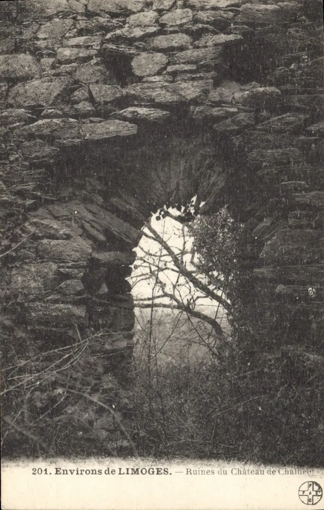 Ruinen des Schlosses Châluec — Umgebung von Limoges — Verlag: PLAGE (Nr. 201) - Vorderseite