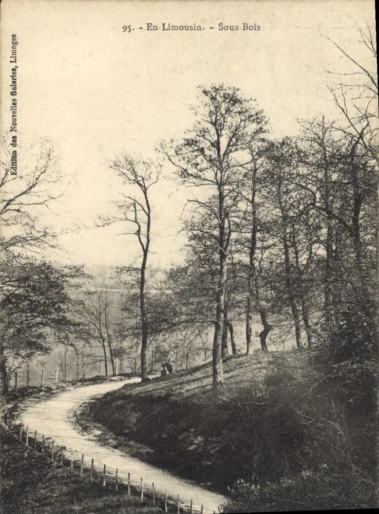 En-Limousin — Pod lasem — Wydanie Nowych Galerii, Limoges, nr 95 - Awers