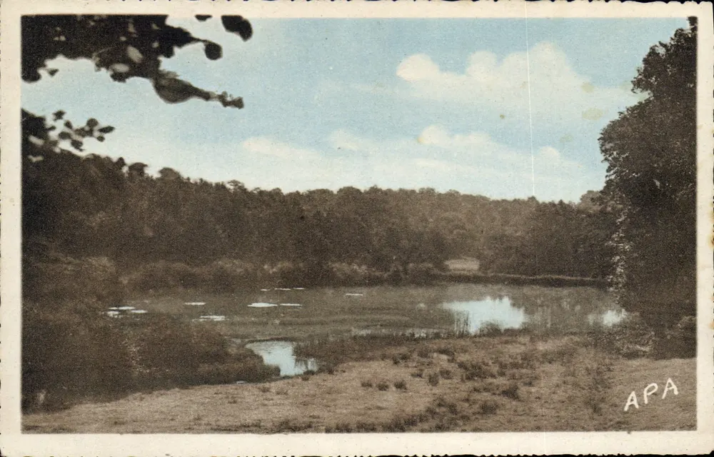 See Leychollier — Bonneuil-la-Côte (Ille-et-Vilaine) — Société des Cartes Postales APA - Vorderseite