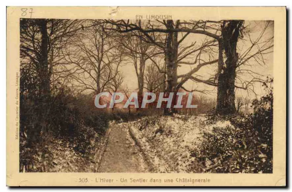 Winter - Ein Weg durch eine Kastanienhain — In Limousin — Edition der Limoges Society of Hearts, n° 305 - Vorderseite