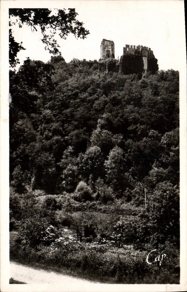 Ruínas de Chaluset — Environs de Limoges — editor C.A.P. n° 425 - Frente