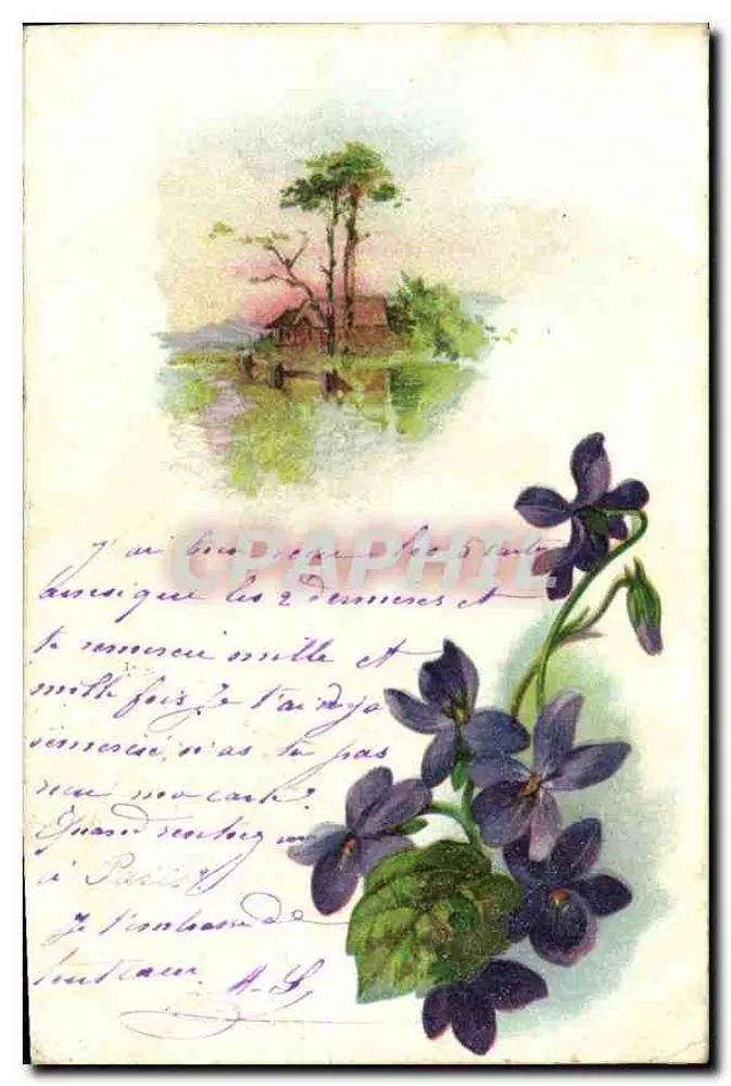 Violetas e paisagem — ilustração — editor desconhecido - Frente