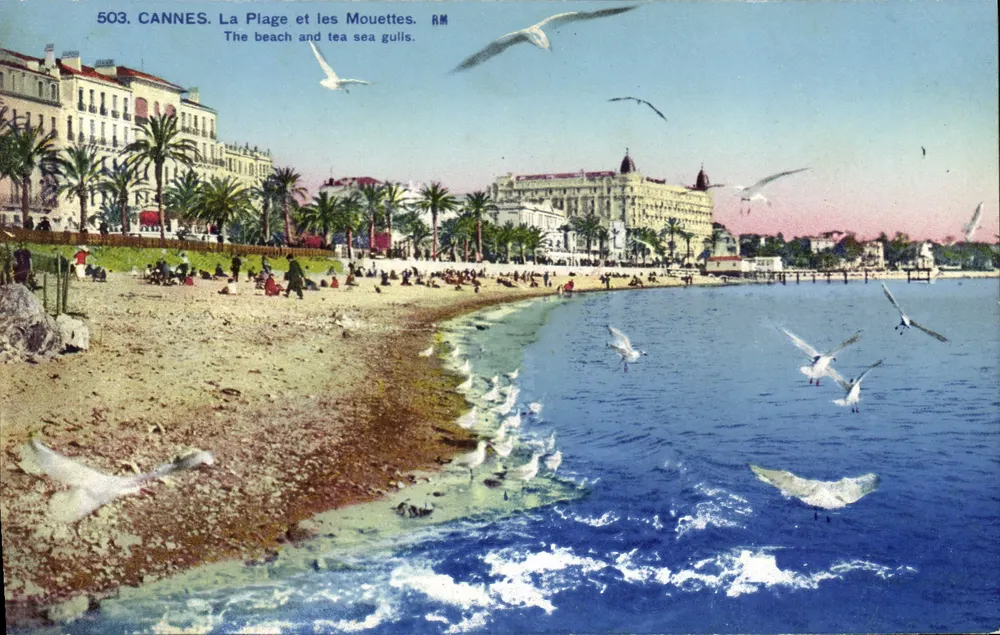 Cannes. A Praia e as Garças — RM, n°503 - Frente