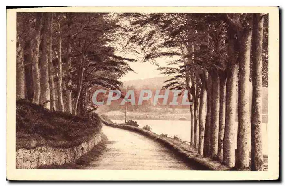 Bäume umgebene Straße — Blick auf einen See — Nr. 29 - Vorderseite