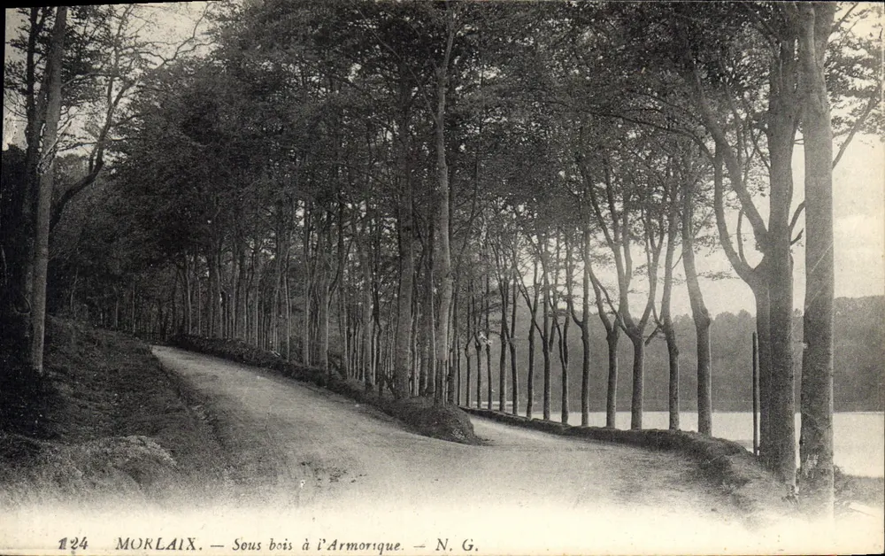 Morlaix — Sob a floresta à Armoricaine — N. G. - Frente