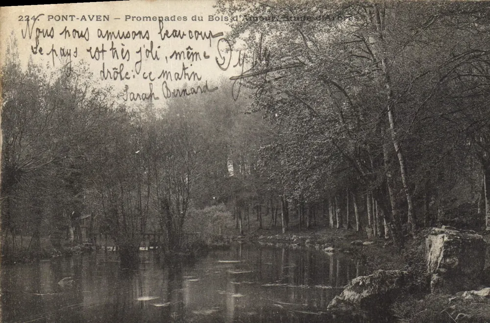 PONT-AVEN — Promenaden im Bois d'Amour, Baumstudie — Verleger: 224 - Vorderseite