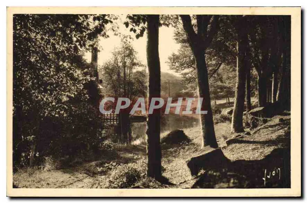 Wald von Font-Aven — Ansicht des Bois d'Amour — unbekannter Verlag, Seriennummer nicht sichtbar - Vorderseite