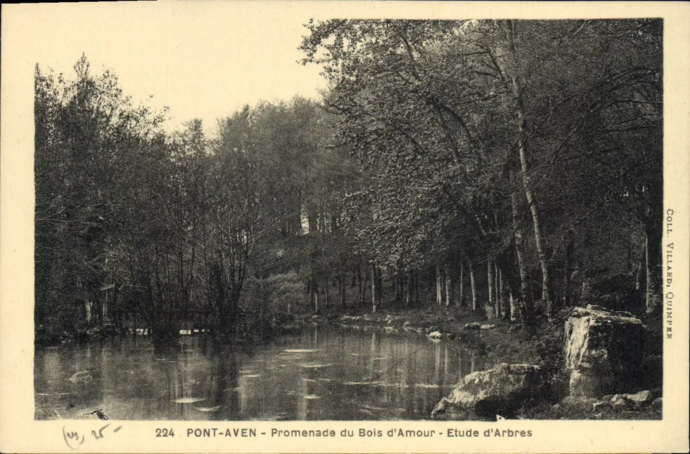 Pont-Aven - Promenade du Bois d'Amour - Baumstudie - Coill Villardi, Quimper - Vorderseite