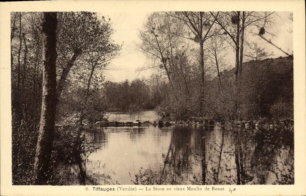 Tiffauges (Vendée) — Die Sèvre am alten Mühle von Ronet - Vorderseite