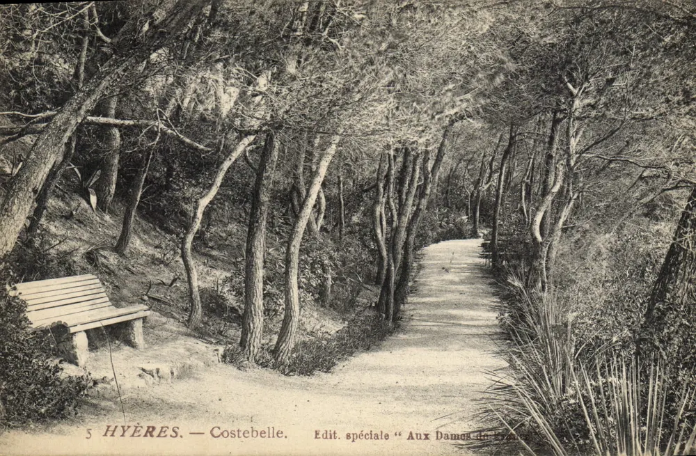 Hyères — Costebelle — Edição especial "Aux Dames du Tronçais" - Frente