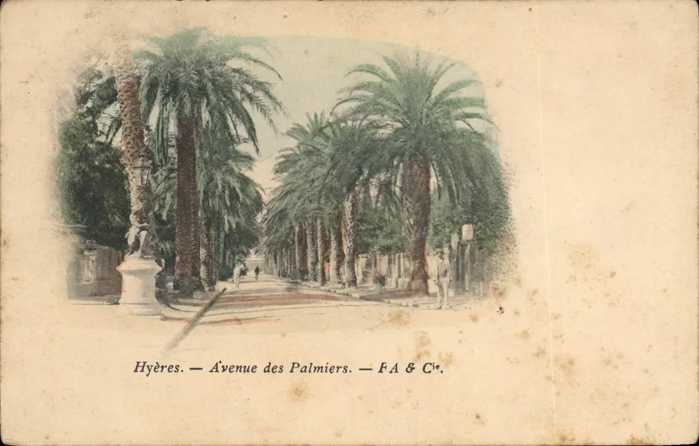 Hyères — Avenida dos Palmeiras — F.A & Cie. - Frente