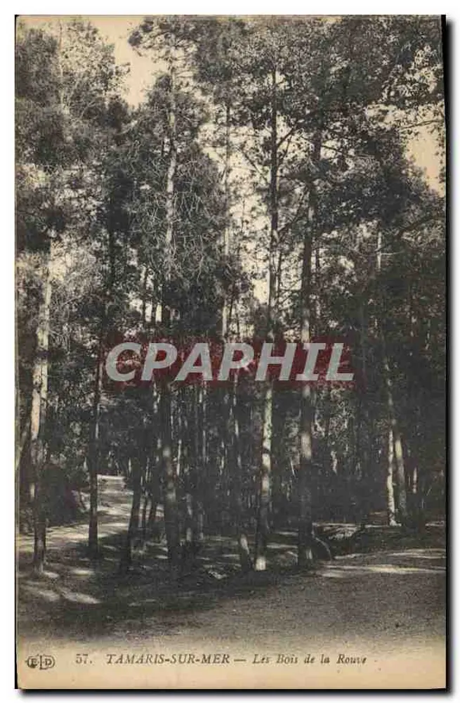 TAMARIS-SUR-MER — Die Pappeln von la Rouve — Verlag E. Le Dely, Paris, n° 57 - Vorderseite