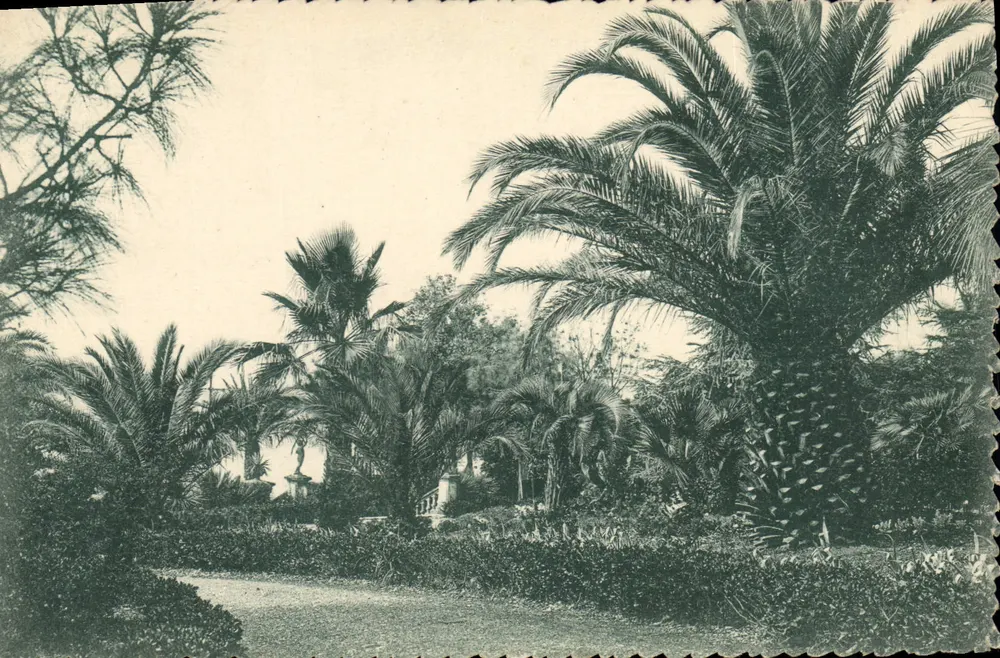 Palmengarten in Le Mourillon — Die Côte d'Azur — Verlag La Côte d'Azur, Nr. 15204 - Vorderseite