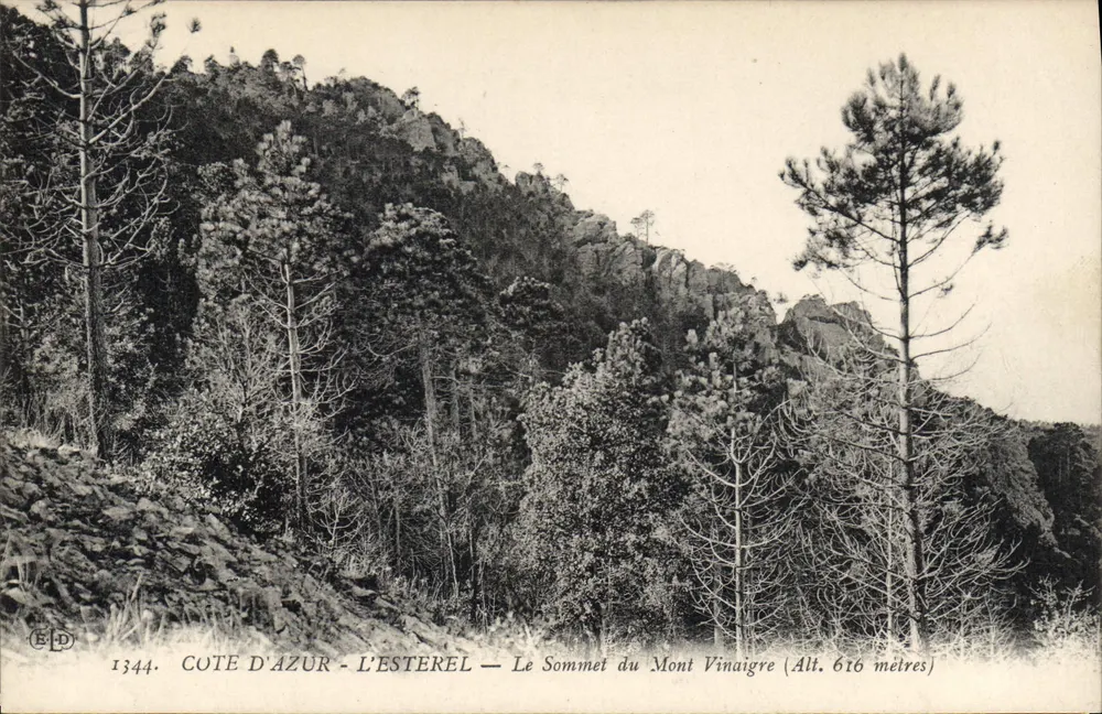 Côte d'Azur - L'Estérel — Gipfel des Mont Vinaigre (Höhe 616 Meter) — Verlag ELD, n° 1344 - Vorderseite
