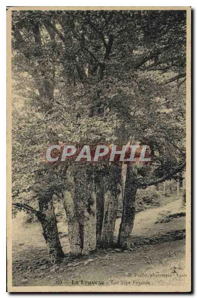 La Louvesc - Les Sept Fayards — D. Pajillet, phototypie - Lyon - Frente