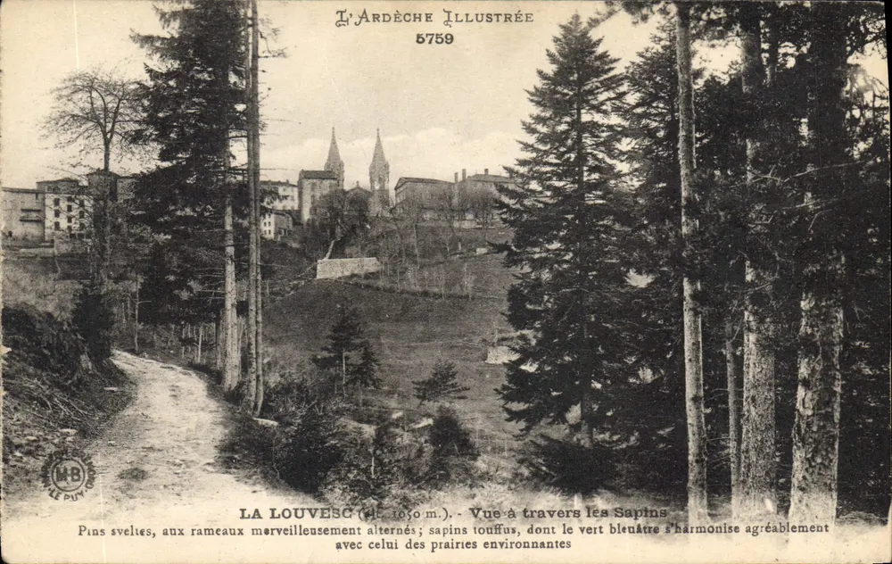 La Louvesc (d. 1050 m.) — Blick durch die Fichten — L'Ardeche Illustrée 5759 - Vorderseite