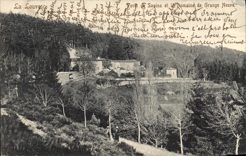 La Louvèsc — Wald aus Tannen und Domaine de Grange Neuve — D. Faillet, Lyon Importiert. - Vorderseite