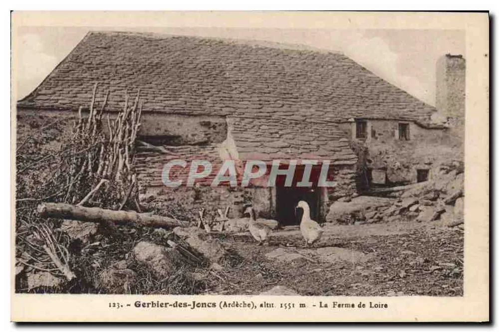Gerbier-des-Joncs (Ardèche), Höhe 1551 m. — Die Loire-Farm - Vorderseite
