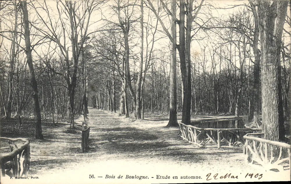 Bois de Boulogne — Herbststudie — P. Marrnusc, Paris, n°56 - Vorderseite