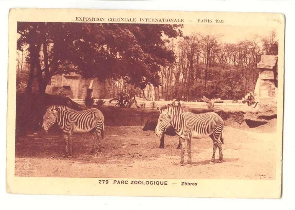Zoo-Park — Zebras — Internationale Kolonialausstellung — Paris 1931 - Vorderseite