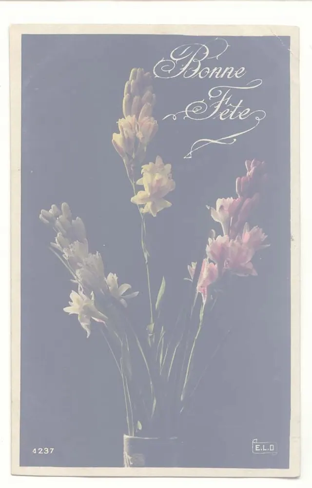 Gladiolenblüten — Frohe Geburtstage — E.L.D. n° 4237 - Vorderseite