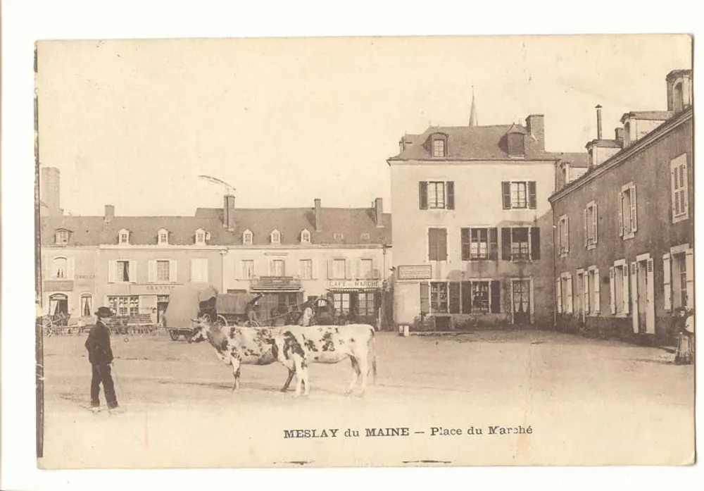 MESLAY DU MAINE — Plaza del Mercado — vista de la plaza con vaca y edificios - Anverso