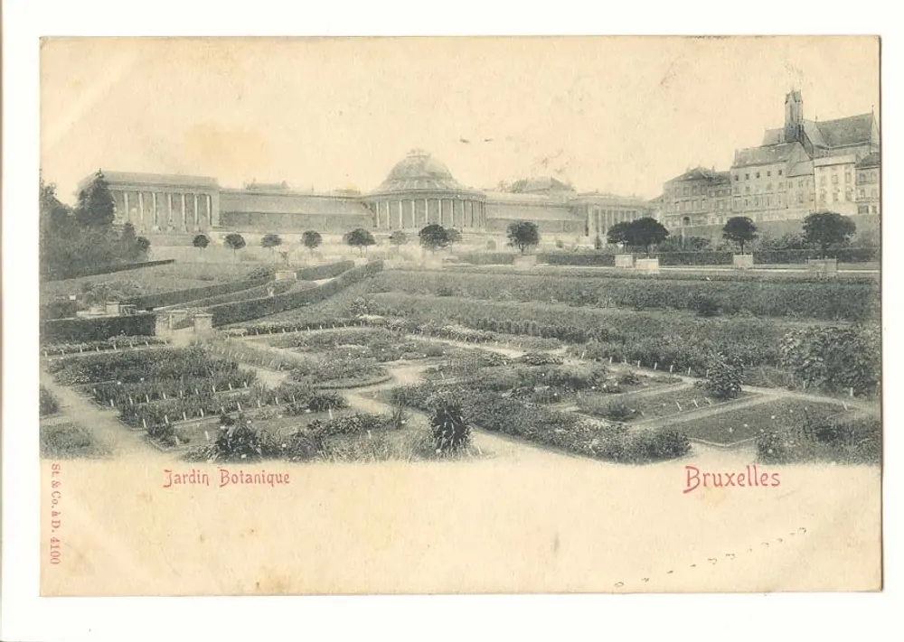 Jardín Botánico — Bruselas — St. & Co. n° 4100 - Anverso