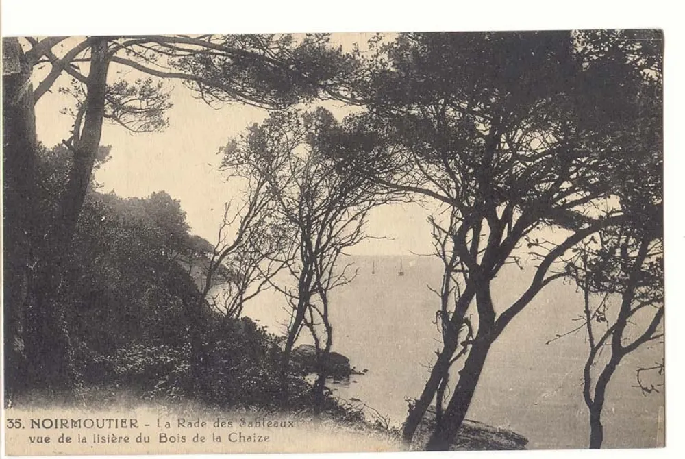 Noirmoutier - Die Bucht der Sableaux aus der Richtung des Waldes Chaîze gesehen — unbekannter Verlag, Nr. 35 - Vorderseite