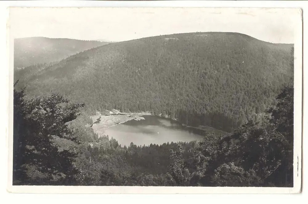 See in den bewaldeten Bergen — Panoramablick — unbekannter Verlag - Vorderseite