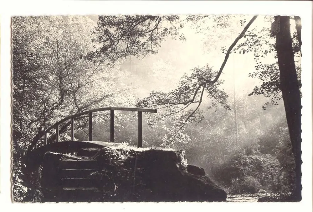 Ponte de madeira em um parque florestal — fotografia sépia — editor desconhecido - Frente