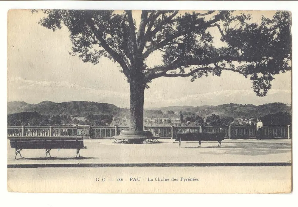 Pau - A Cadeia dos Pirineus — C.C. - 186 - Frente