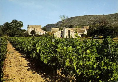 Vinhedos e casas de pedra — Em torno de Vans (Chambonas, Ardèche) — Edição La Cigogne