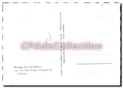 Pasterze w Pireneachach — Starszy pasterz, stado owiec — Wyd. Sztuki LARREY, Toulouse — Rewers