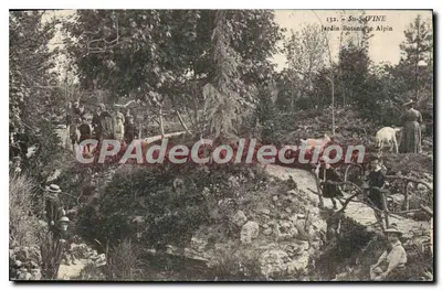 Ste-Savine — Jardim Botânico Alpino — CPAdeCollection