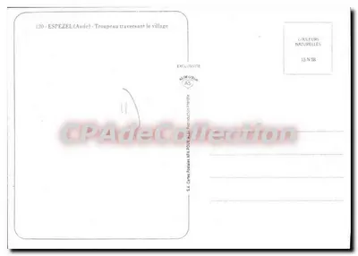 Espezel (Aude) — Troupeau przekraczające wieś — Couleurs Naturelles, 15 N 58 — Rewers