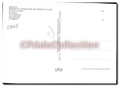 Reserva africana de Sigean — Urso com colar, leões, pinguins, jacarés — Éditions Réunies — Verso