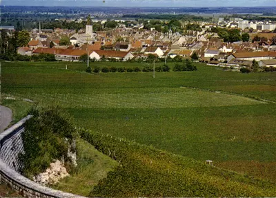 Nuits-Saint-Georges — Vista geral, vinhedos em primeiro plano — Éditions La Gironde, n° 21.464.18