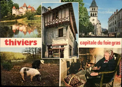 Thiviers — castelo, igreja, óptico, foie gras — CPAdeCollection