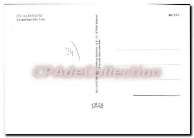 Gawaganie gęsi — W Gascogni — IRIS 40/275 — Rewers