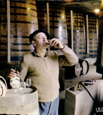 Bilhete postal semimoderno Gascogne Pittoresque Pays De L'Armagnac seu Bouquel aquecido na mão anuncia o Prazer de