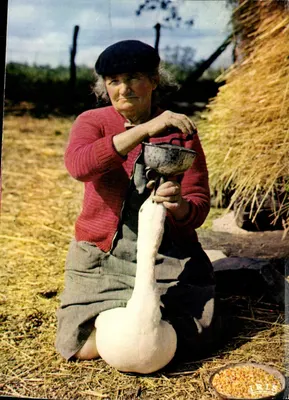 Mulher alimentando um pato — Gaveuse d'Oie — editor Cap Théo Jac