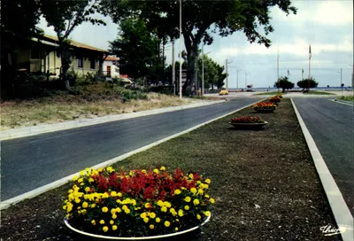 Maubuisson (Gironde) — As Avenidas Floridas — Edições « Théojac »