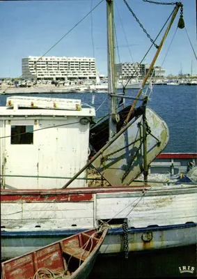 Porto de Carnon — Florange francesa — Edições Mexichrome