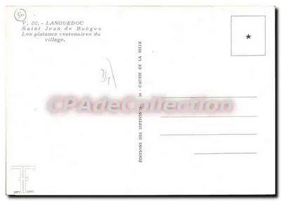 Saint Jean de Buèges — Os plataneiros centenários do vilarejo — Éditions des Septonions — Verso