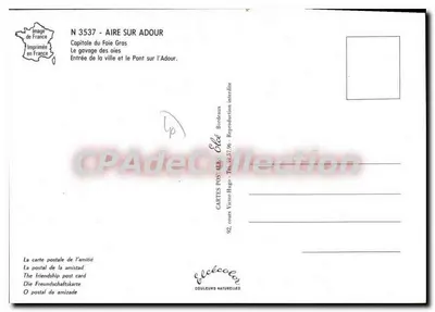 Aire-sur-Adour — cidade e ponte — Editado por Élèe — Verso