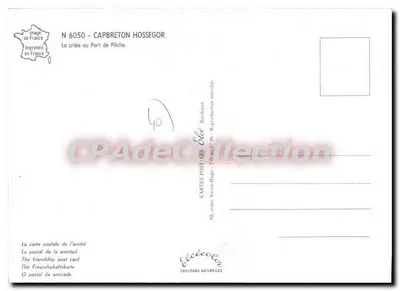 Capbreton — Porto de Pesca — Editor Elcé, n° 6050 — Verso