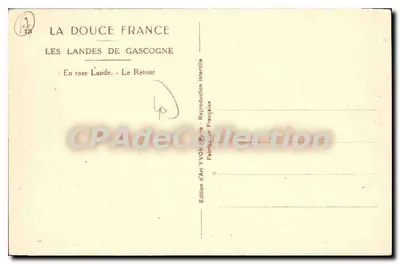 As Landas da Gascogne — Em terreno aberto — O Retorno — Edição de Arte YVON — Verso