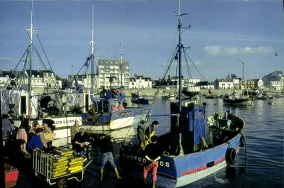 La Turballe (Loire-Atlantique) — O porto e os barcos de pesca — IRIS, n° 440691