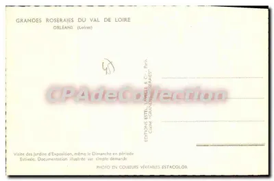 Mulher no meio de gládios — Grandes Rosas do Vale do Loire — Edições Estel, Paris — Verso