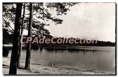 O LAGO DOS BOIS perto de LORRIS (Loiret) — vista da margem arborizada — Livraria RENÉ, LORRIS